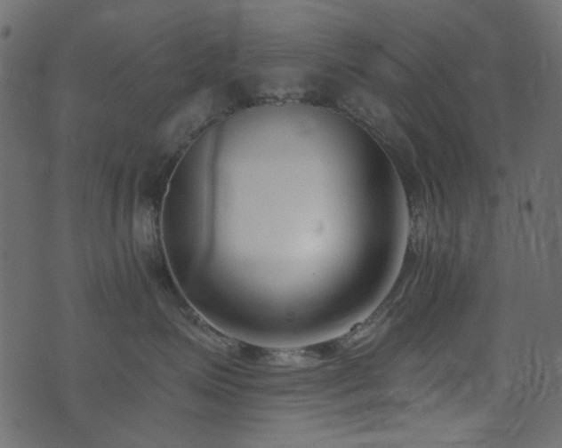 X0000074320623200608251302