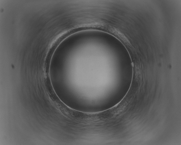 X0000074320628200608251301