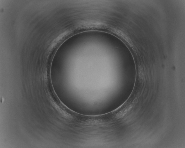 X0000074320629200608251301