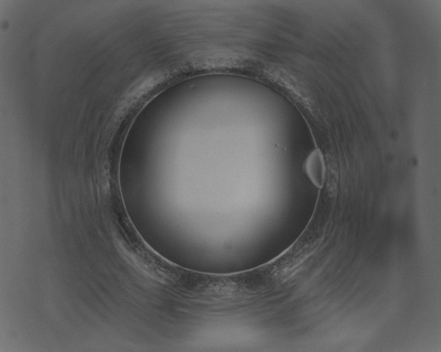 X0000074320631200608251301