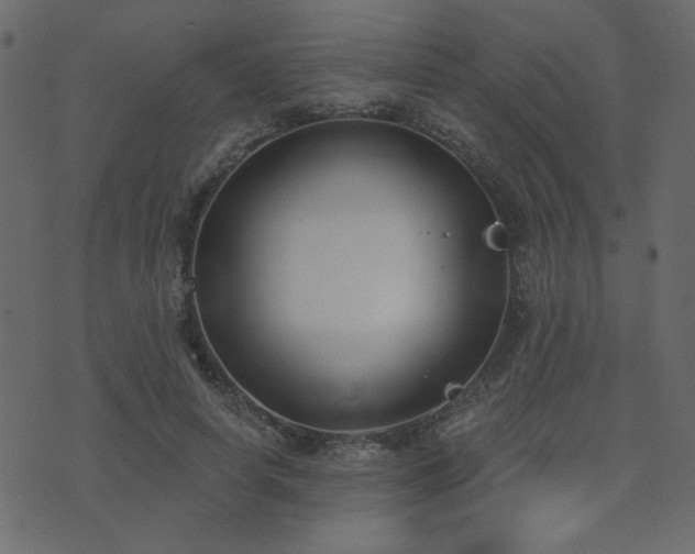X0000074320642200608251302