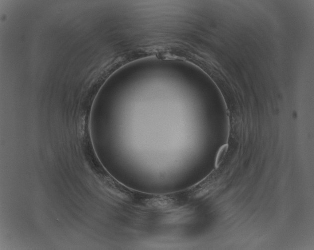 X0000074320652200608251302