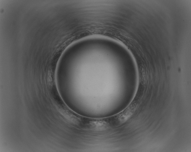 X0000074320654200608251302
