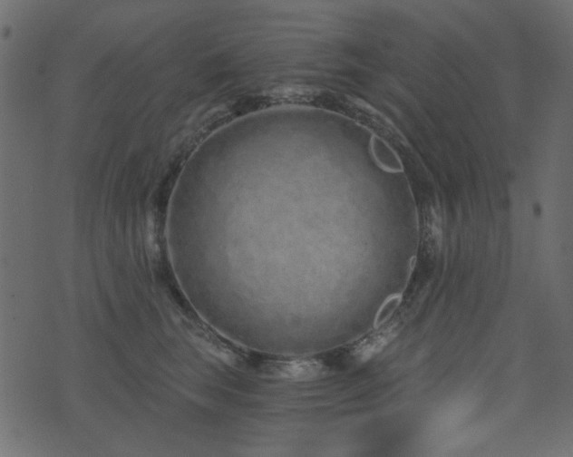 X0000074320663200608251302