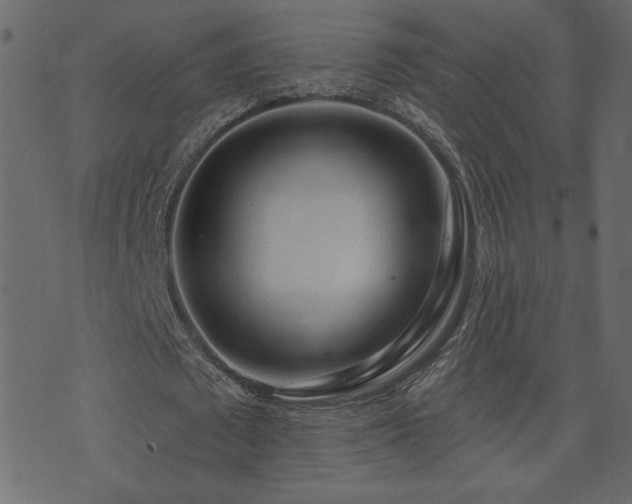 X0000074320673200608251301
