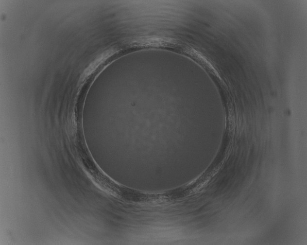 X0000074320674200608251301