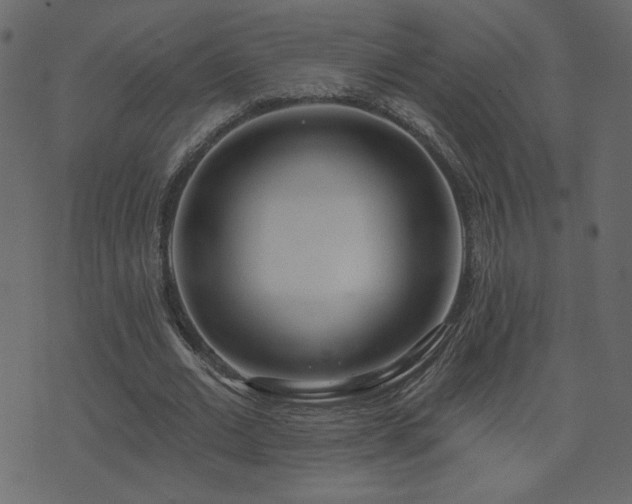 X0000074320677200608251301