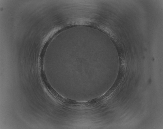 X0000074320678200608251301