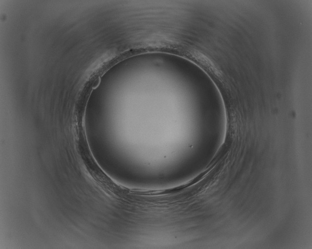 X0000074320680200608251301