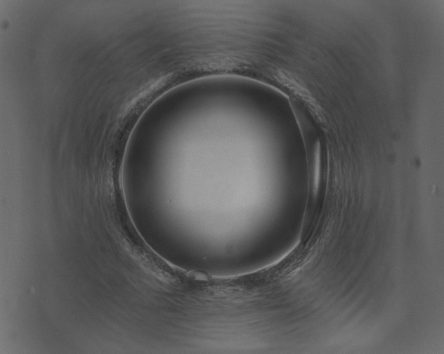 X0000074320681200608251301