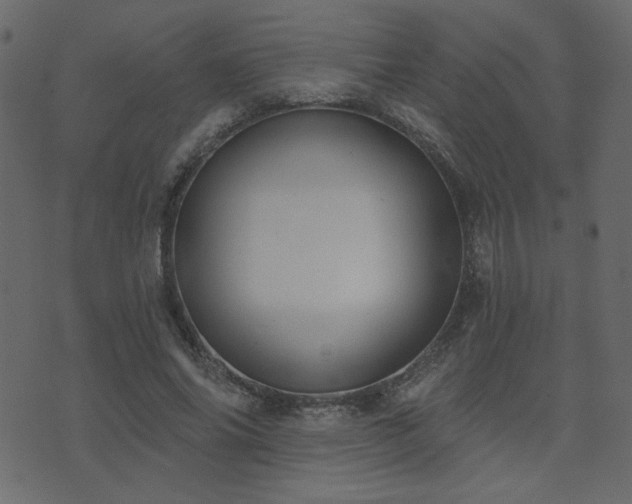 X0000074320686200608251301