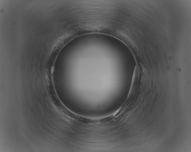X0000074320688200608251301