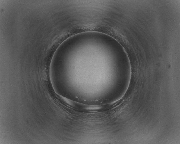 X0000074320689200608251301