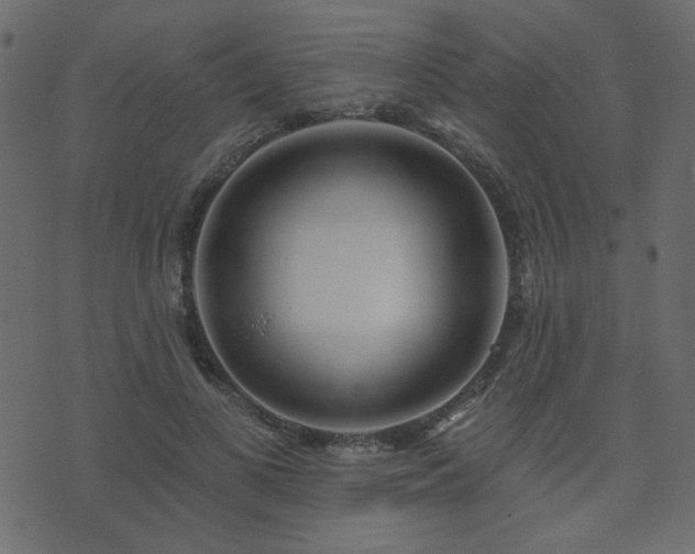 X0000074320693200608251301