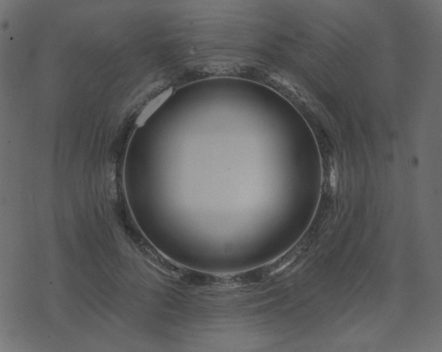 X0000074320696200608251301