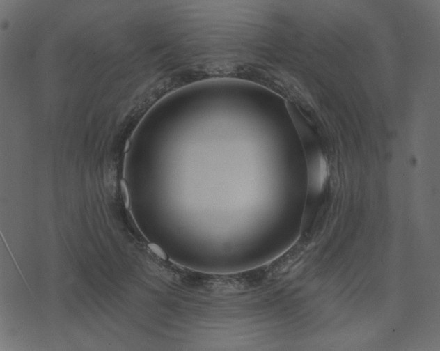 X0000074320697200608251301