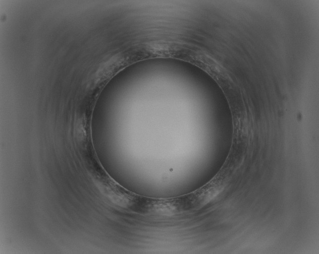 X0000074320702200608251301
