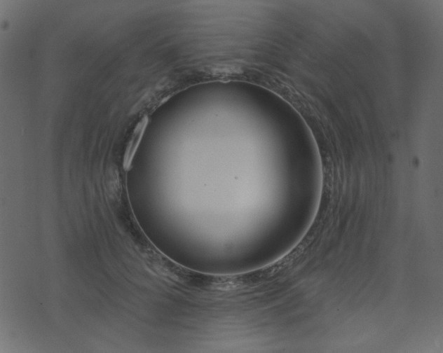 X0000074320704200608251301