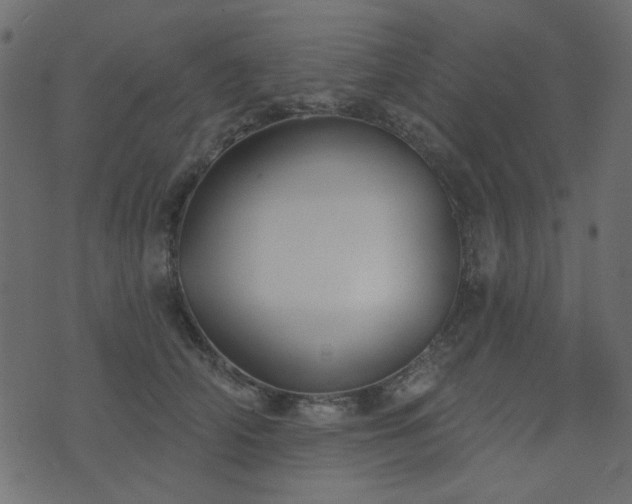 X0000074320706200608251301