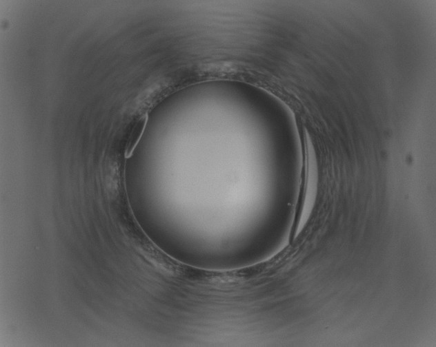 X0000074320708200608251301