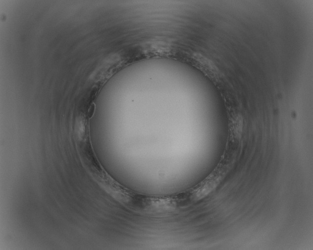 X0000074320709200608251301