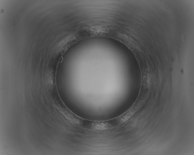 X0000074320710200608251301