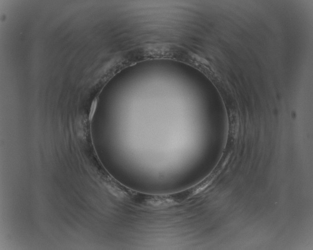 X0000074320712200608251301