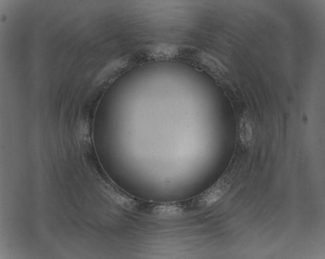 X0000074320714200608251301