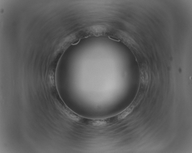 X0000074320718200608251301