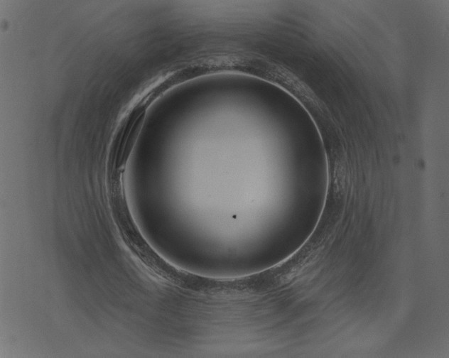 X0000074320722200608251300