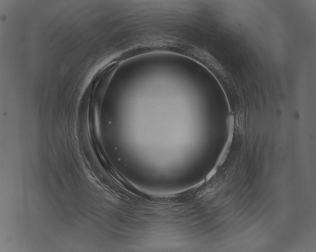 X0000074320724200608251300