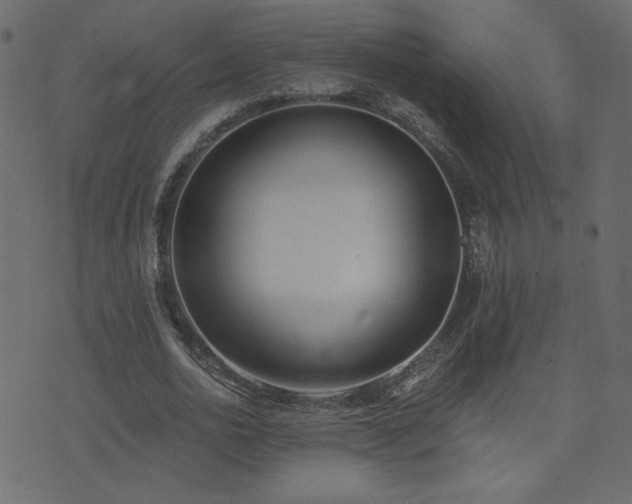 X0000074320726200608251300