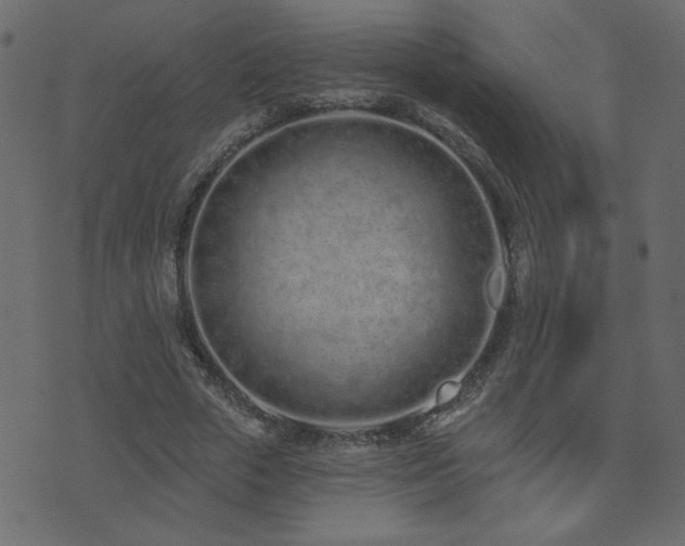 X0000074320729200608251300