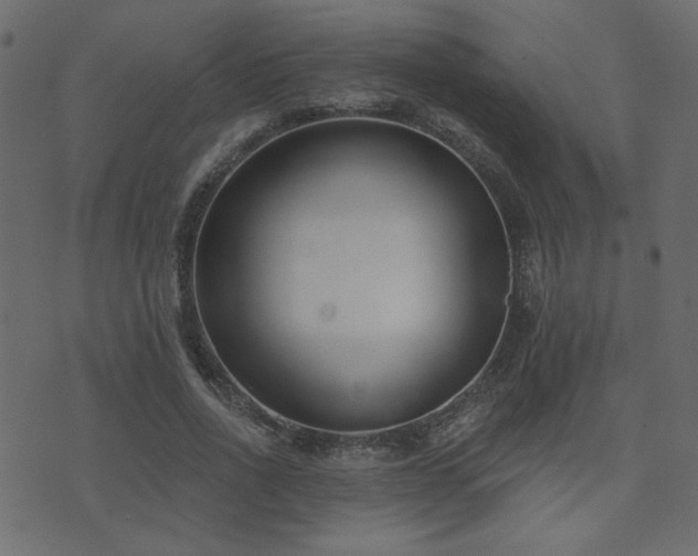 X0000074320734200608251300