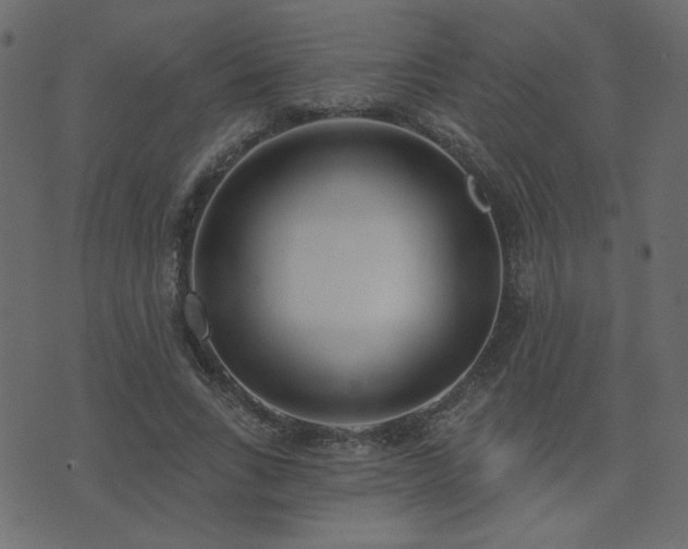 X0000074320735200608251300