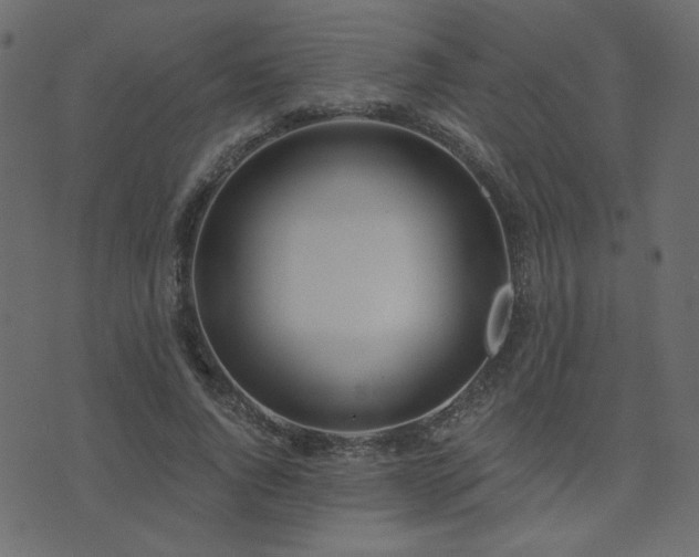 X0000074320736200608251300