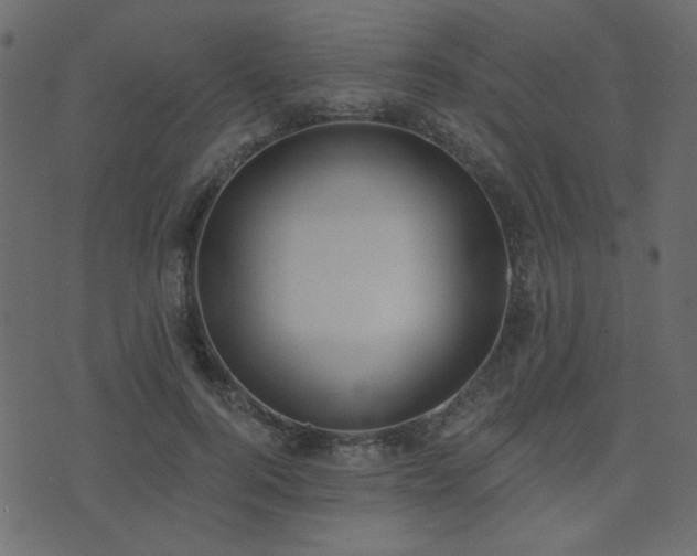 X0000074320744200608251300