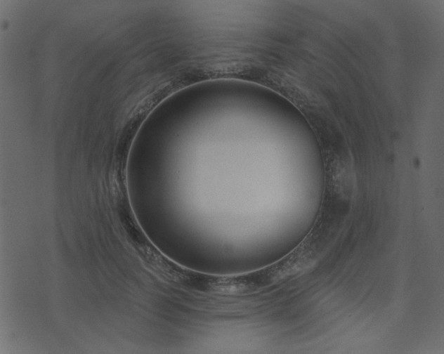 X0000074320746200608251300