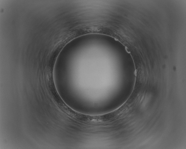 X0000074320747200608251300