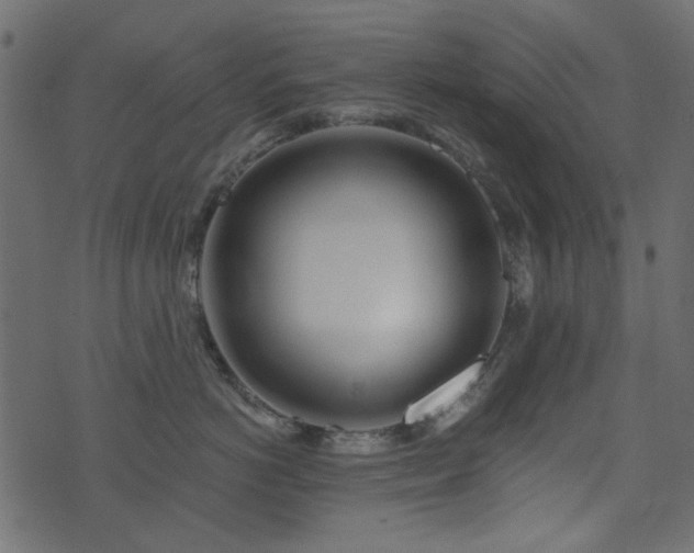 X0000074320766200608251301