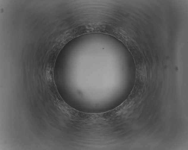 X0000074320770200608251300