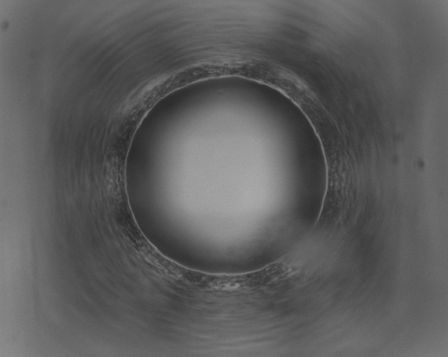 X0000074320773200608251300