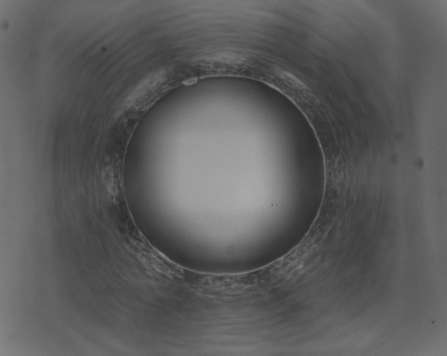 X0000074320774200608251300