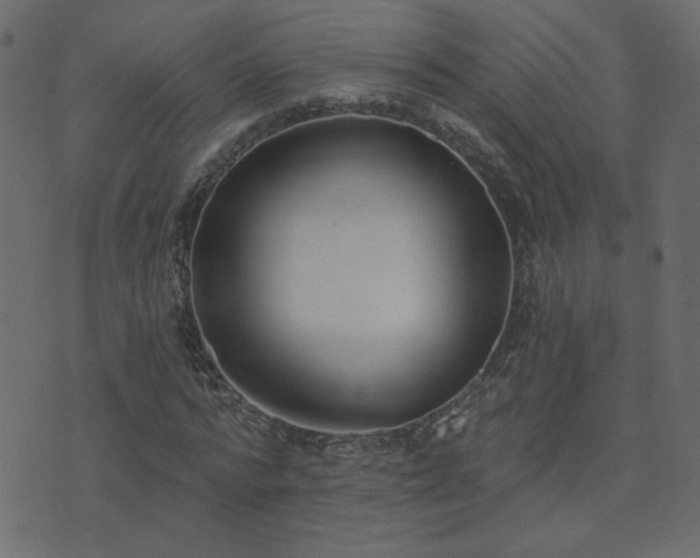 X0000074320776200608251300