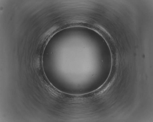 X0000074320777200608251300