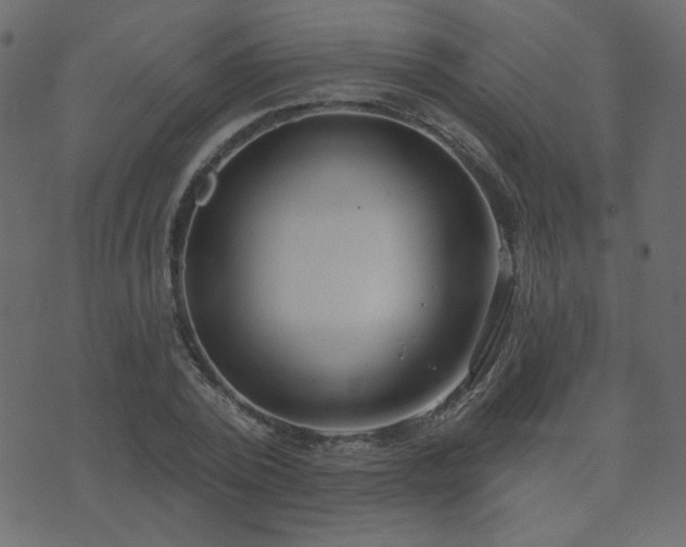 X0000074320784200608251300