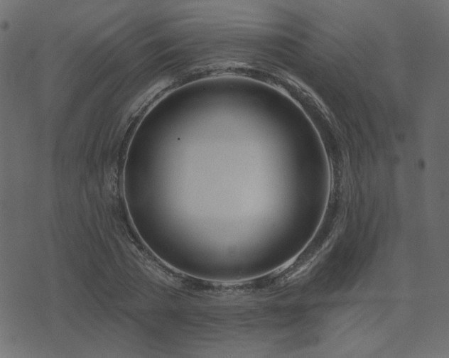 X0000074320785200608251259