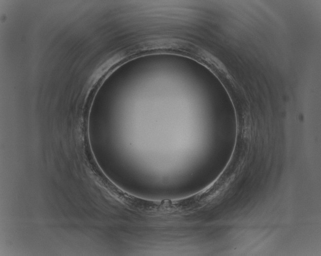 X0000074320786200608251259