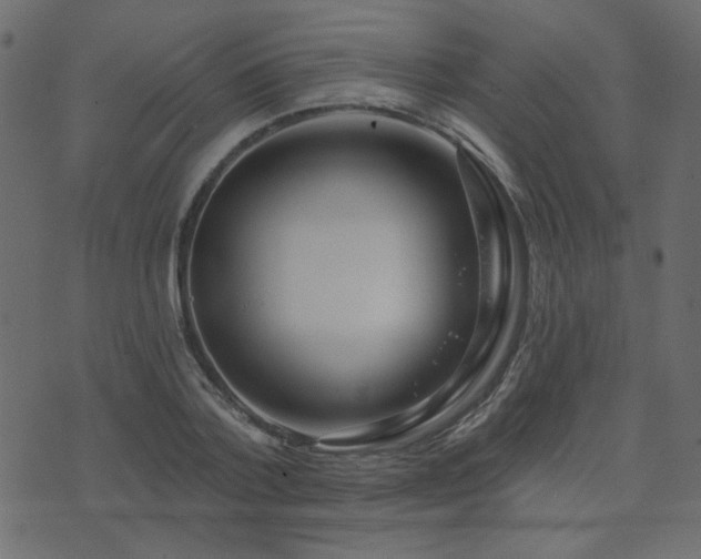 X0000074320788200608251259