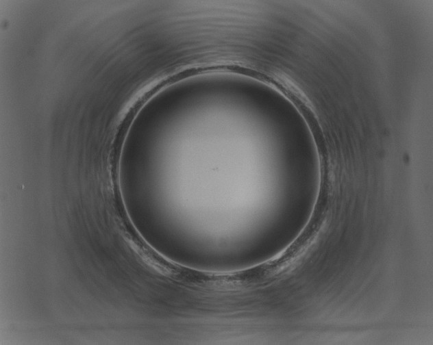 X0000074320789200608251259